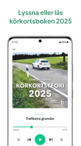 Trafiko: Körkort screenshot