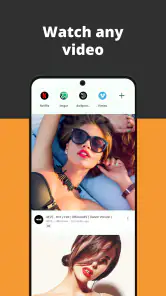 Video Browser screenshot