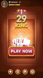 29 King Card Game Offline screenshot