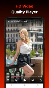 All Video Downloader: 下载视频 screenshot