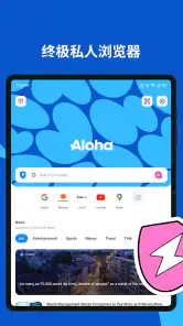 Aloha Browser + 私人VPN screenshot