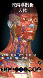 Anatomy Learning - 3D人体解剖图谱 screenshot