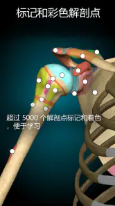 Anatomy Learning - 3D人体解剖图谱 screenshot