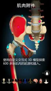 Anatomy Learning - 3D人体解剖图谱 screenshot