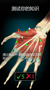 Anatomy Learning - 3D人体解剖图谱 screenshot