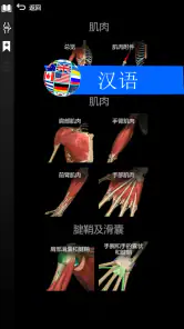 Anatomy Learning - 3D人体解剖图谱 screenshot