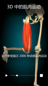 Anatomy Learning - 3D人体解剖图谱 screenshot