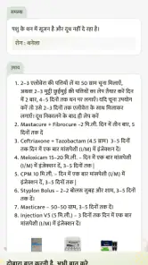 Animall Bhai screenshot