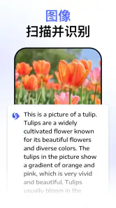 Chatbot Assistant - AI Seek screenshot