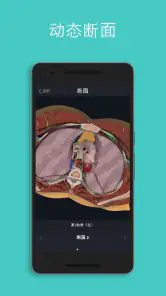 Complete Anatomy - 通过3D学习解剖学 screenshot
