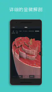 Complete Anatomy - 通过3D学习解剖学 screenshot