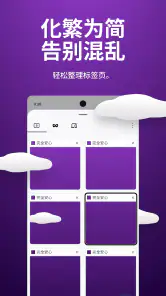 Firefox 快速隐私浏览器 screenshot