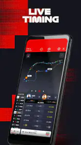 Formula 1® screenshot