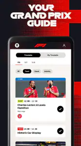Formula 1® screenshot