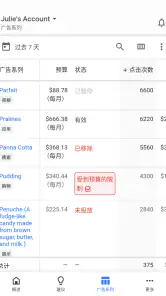 Google Ads screenshot