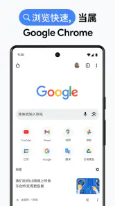 Google Chrome 浏览器 screenshot