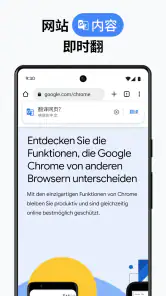 Google Chrome 浏览器 screenshot