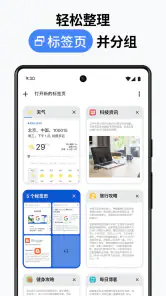 Google Chrome 浏览器 screenshot