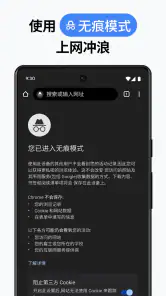 Google Chrome 浏览器 screenshot