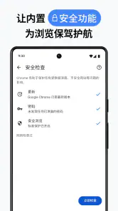 Google Chrome 浏览器 screenshot