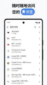 Google Chrome 浏览器 screenshot
