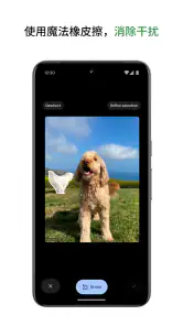Google 相册 screenshot