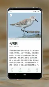 Merlin 鸟种识别 by Cornell Lab screenshot