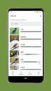 Merlin 鸟种识别 by Cornell Lab screenshot