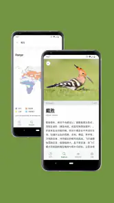 Merlin 鸟种识别 by Cornell Lab screenshot
