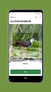 Merlin 鸟种识别 by Cornell Lab screenshot