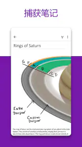 Microsoft OneNote:保存创意和整理笔记 screenshot