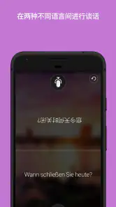 Microsoft Translator screenshot