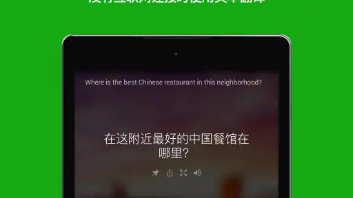 Microsoft Translator screenshot
