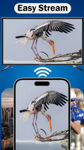 MirrorLink App for Car screenshot