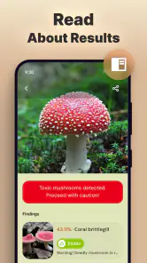 Mushroom Identification screenshot