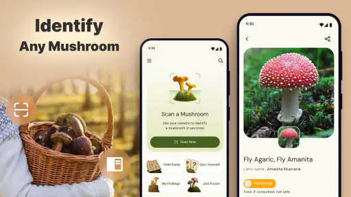 Mushroom Identification screenshot