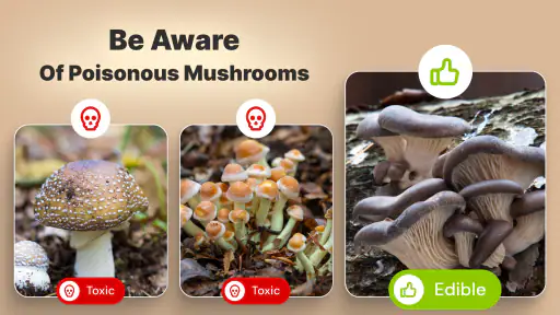 Mushroom Identification screenshot