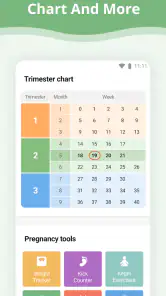 Pregnancy App screenshot