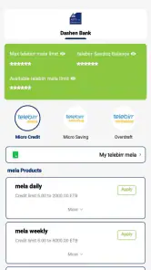 telebirr screenshot