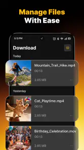 Video Downloader & Player Pro screenshot