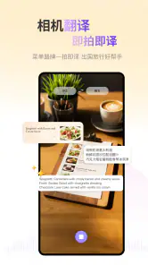 ViiTor实时翻译-语音,AR和屏幕翻译器,录音转文字 screenshot