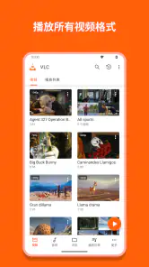 VLC for Android screenshot