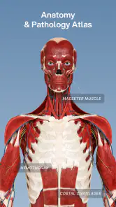 VOKA 3D Anatomy & Pathology screenshot