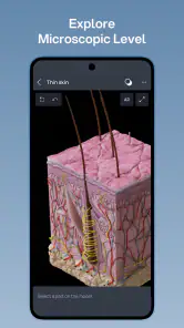 VOKA 3D Anatomy & Pathology screenshot