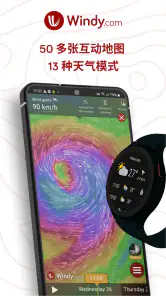 Windy.com - 天气预报 screenshot