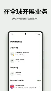 Wise screenshot