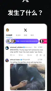 X（前身为Twitter） screenshot