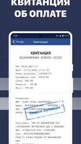Штрафы ГИБДД: проверка с фото screenshot