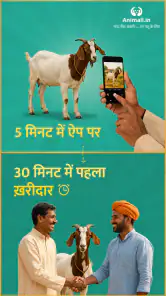 कोई भी पशु ख़रीदे बेचे Animall screenshot