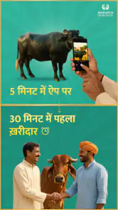 कोई भी पशु ख़रीदे बेचे Animall screenshot